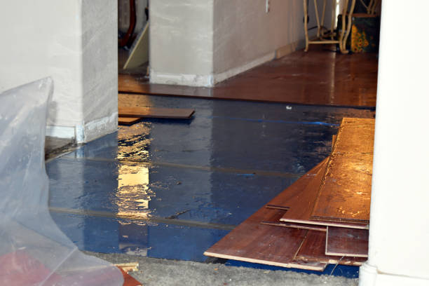 Professional Flood Damage Repair technician working in Yoder, CO